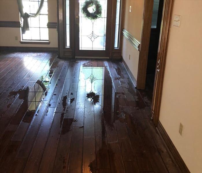 entry way to home with water puddled up on top of wood flooring